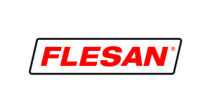 Logo Flesan